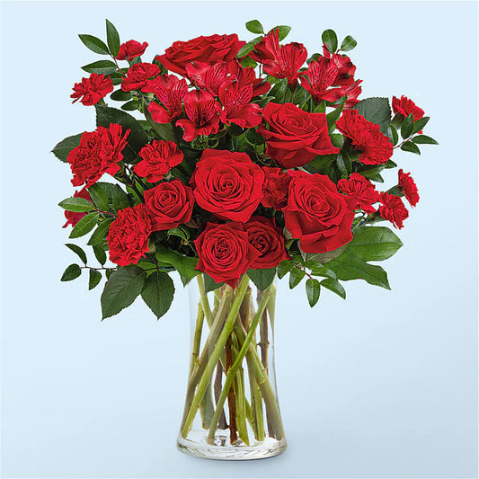 Twenty Four Long Stem Red Roses