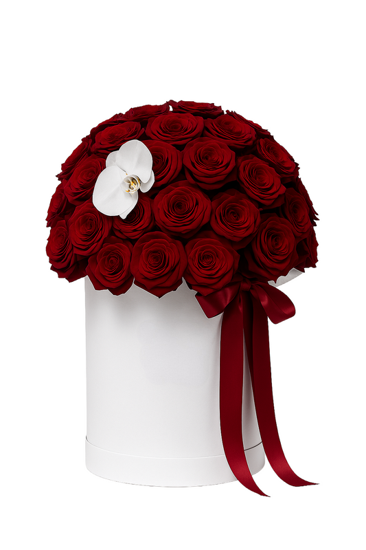 Love Elegance