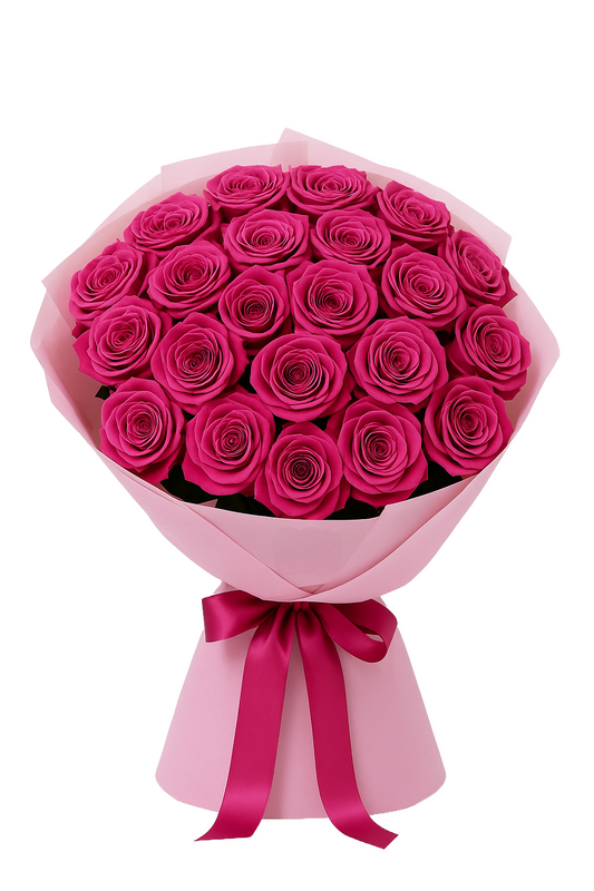 Fuchsia Dream