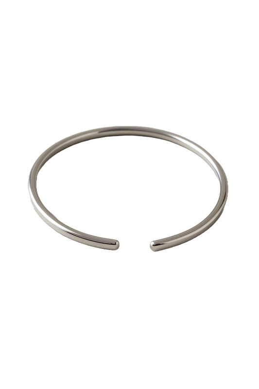 Silver Echo Gift